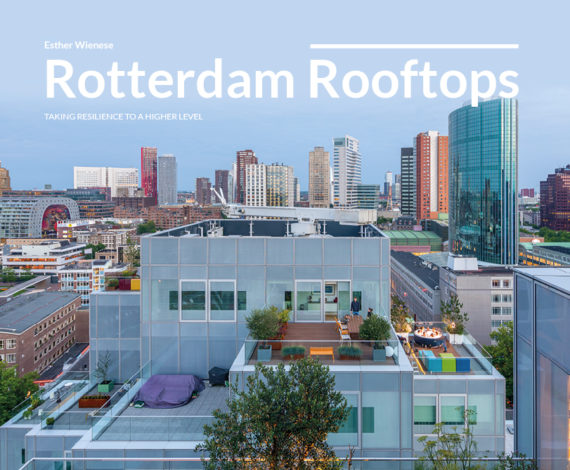 Rotterdam Rooftops
