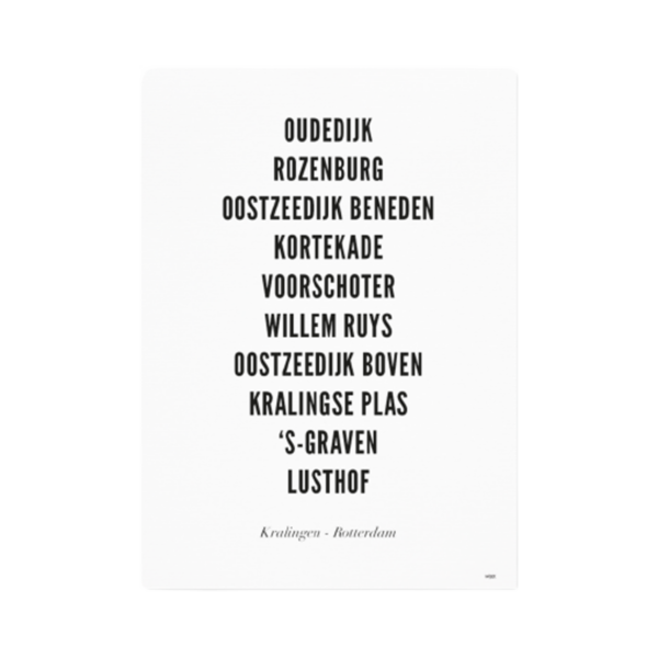 Afbeelding Poster Rotterdam Kralingen 