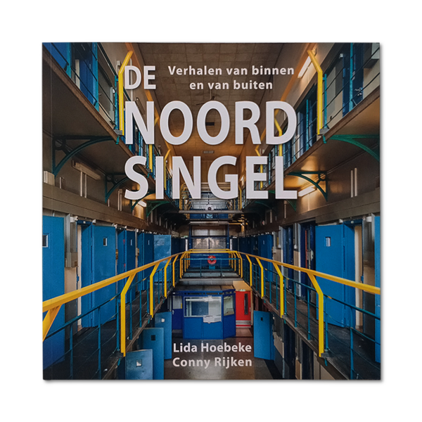 Afbeelding van het boek de Noordsingel  