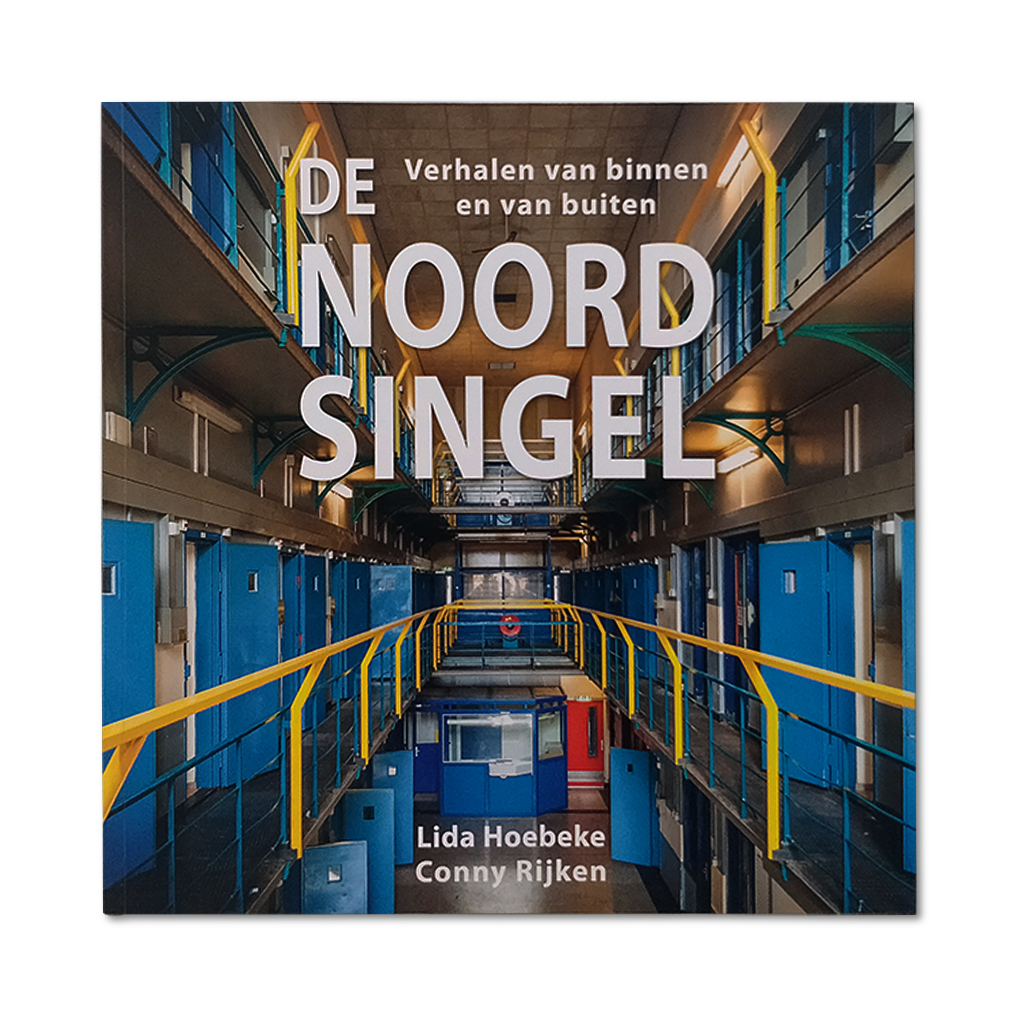 Afbeelding van het boek de Noordsingel  