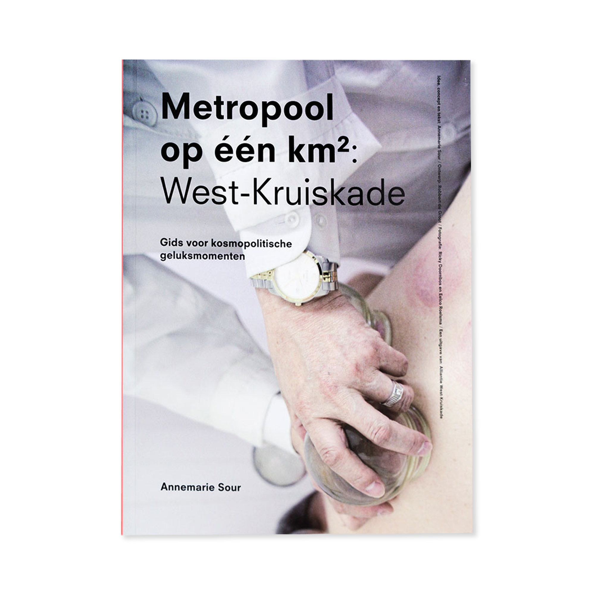 Afbeelding van het boek Metropool op een km2 west kruiskade