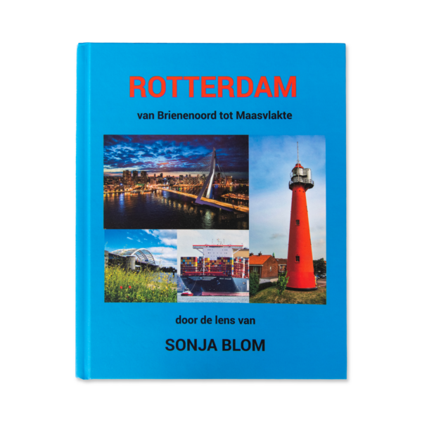 Afbeelding van het boek Rotterdam van Brienenoord tot Maasvlakte 