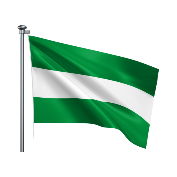 Afbeelding Rotterdamse vlag