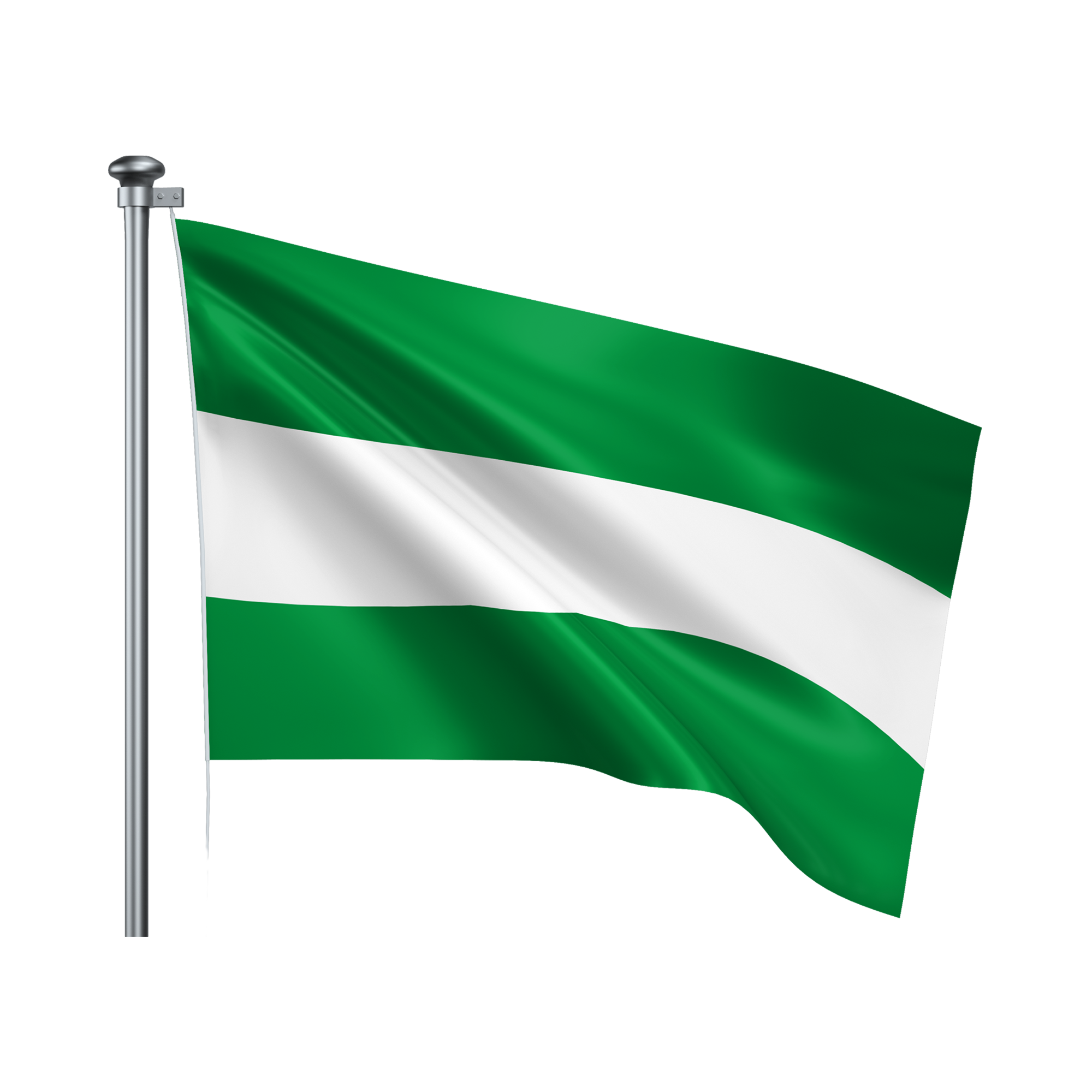 Afbeelding Rotterdamse vlag