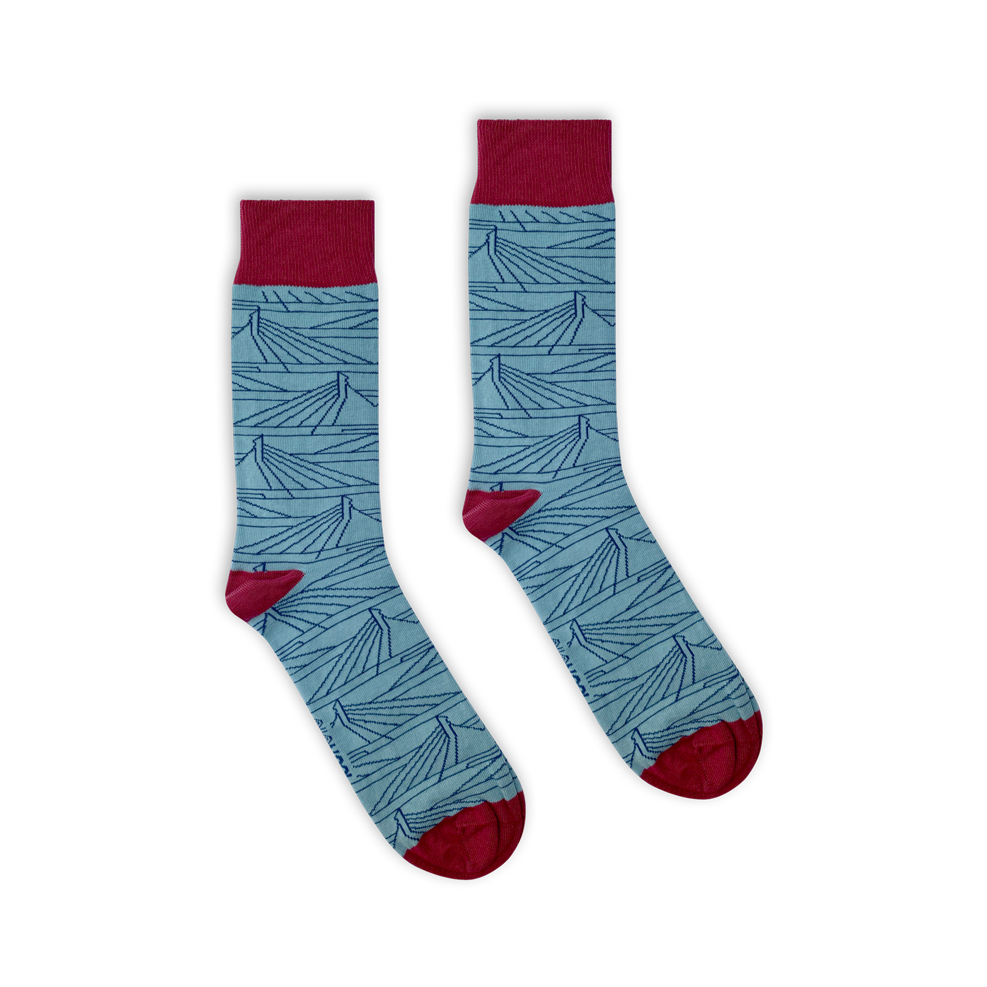 Afbeelding van sokken met de Erasmusbrug